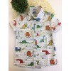 Dinossauros Conjunto Infantil